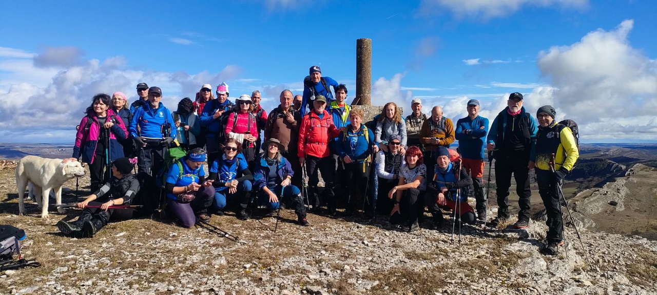 WhatsApp Image 2026-02-10 at 14.47.47